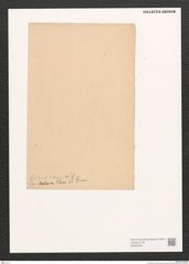 Diatomeae indet. Zeichnungen Sammlung Grunow (NHMW-BOT-W0369789)